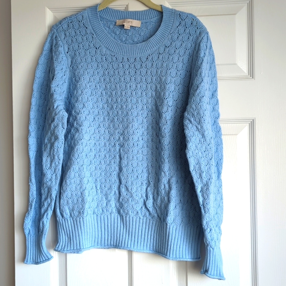 EUC Loft Crochet Sweater